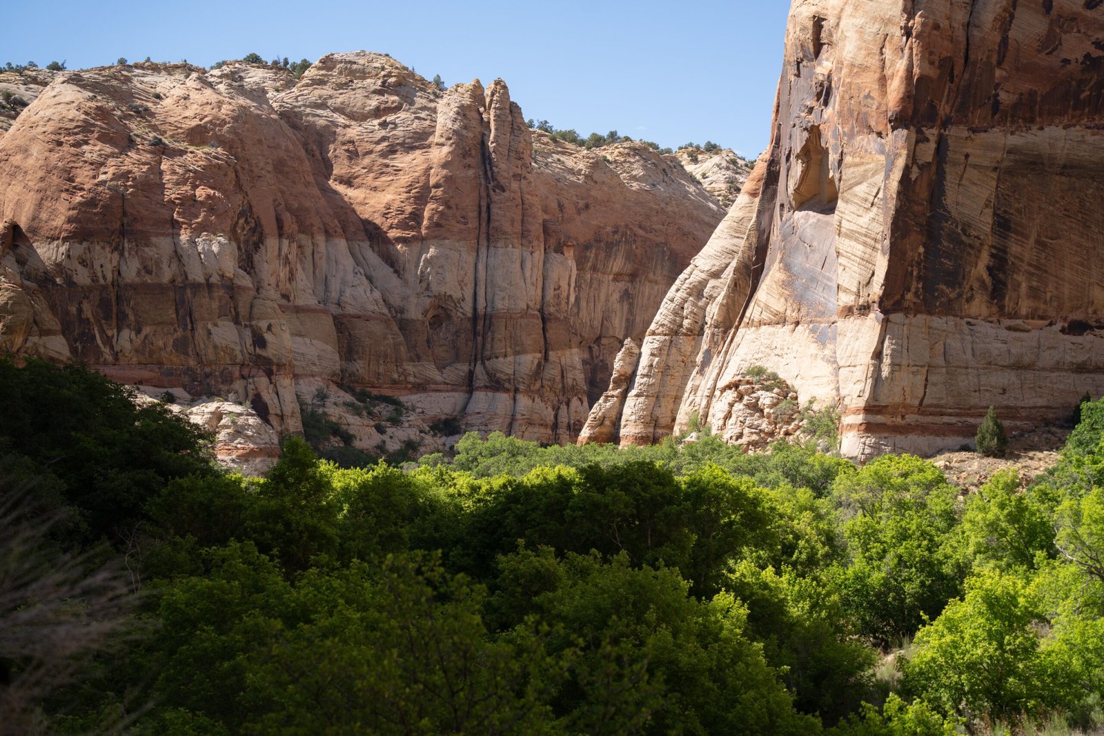 Hike the trails in Grand Staircase-Escalante National Monument.