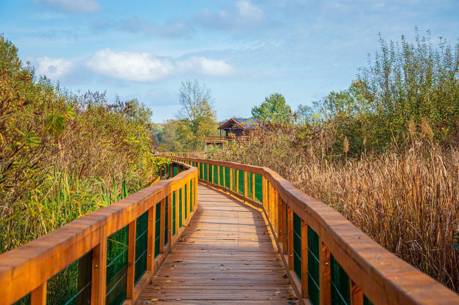 Enjoy a day at the Cape Girardeau Conservation Nature Center.