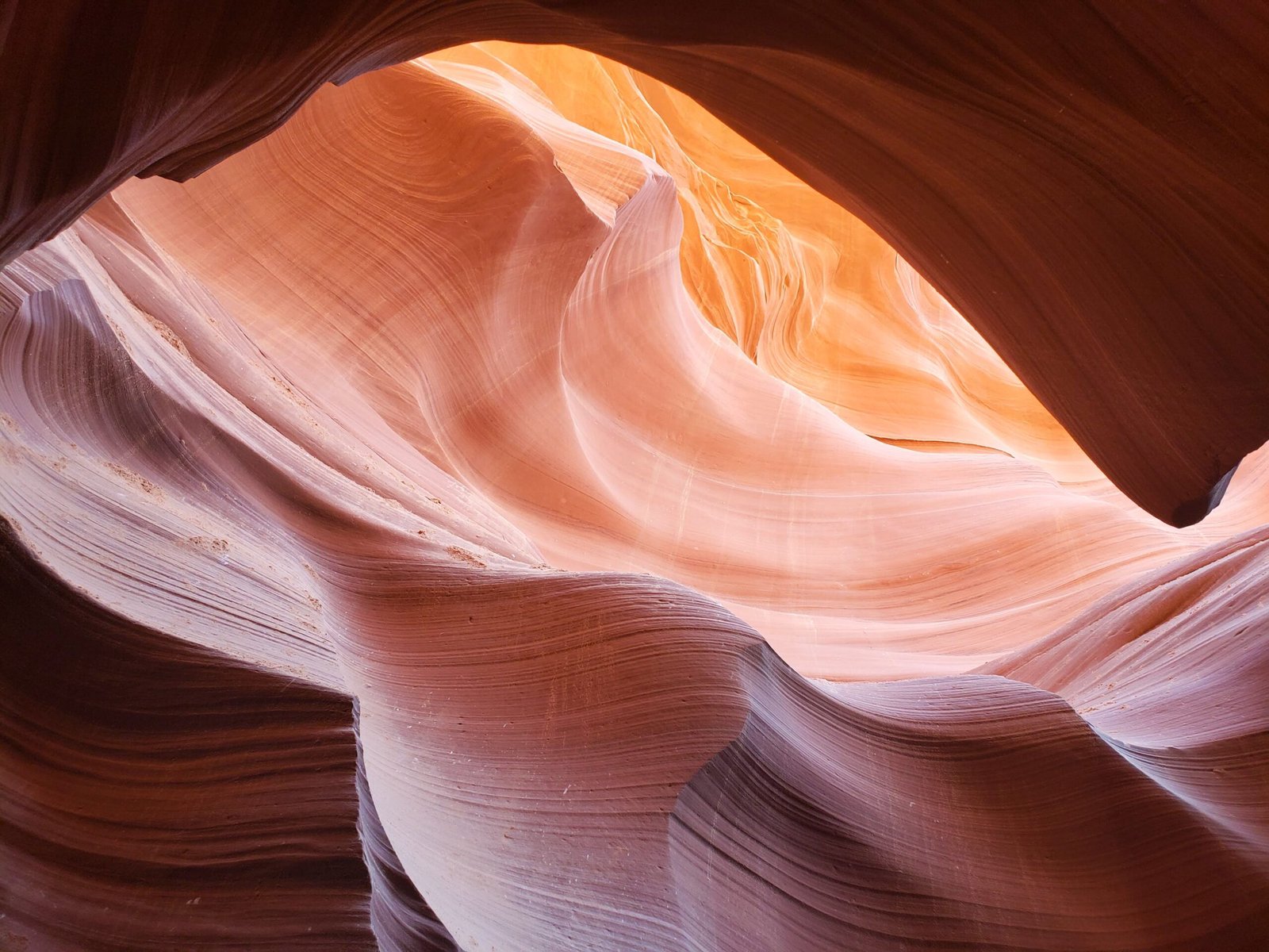 Take a guided tour of the iconic Wave formation.
