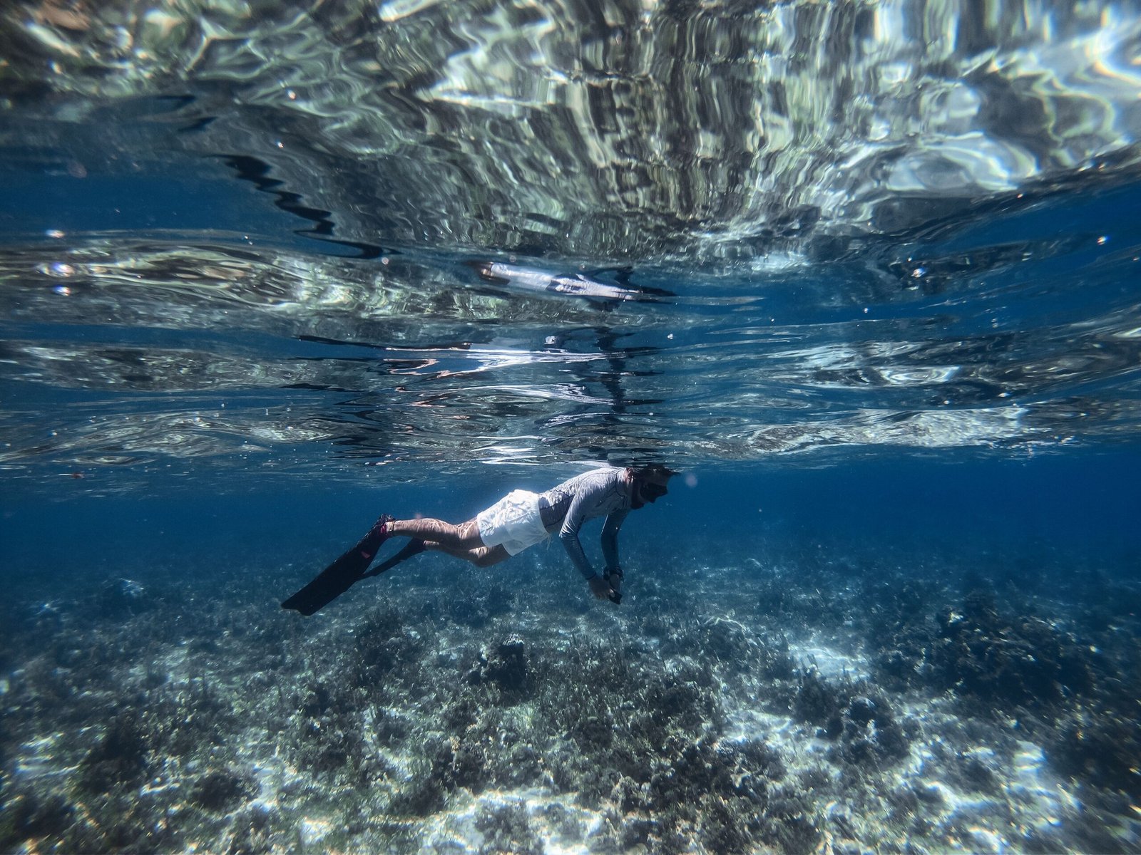 Snorkel at the Palancar Reef
