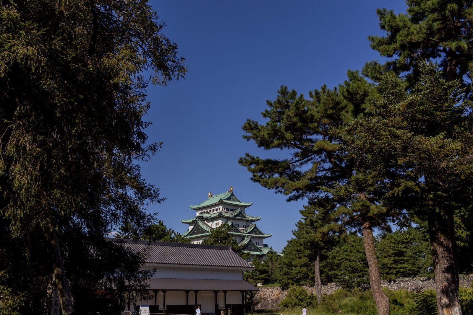 Visit Nagoya Castle and admire its beautiful architecture and gardens.