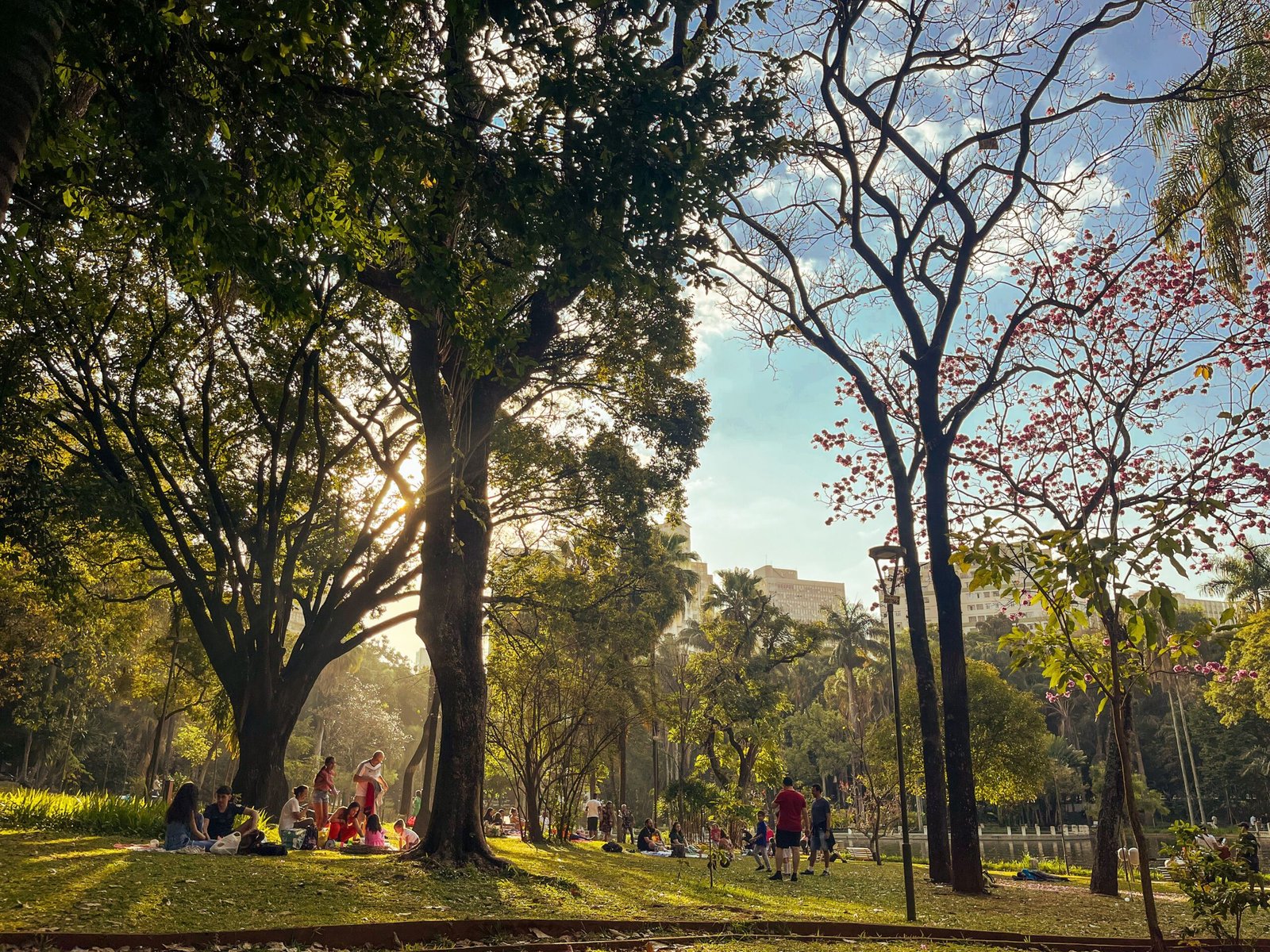 Relax in the lush greenery of the Parque Panamericano, perfect for picnics.