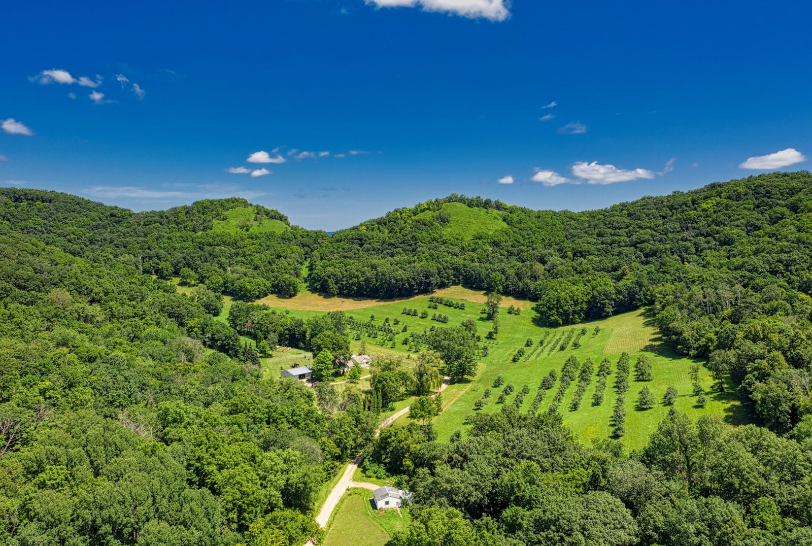 Enjoy the views from the top of the hiking trail at Blackberry Farm.