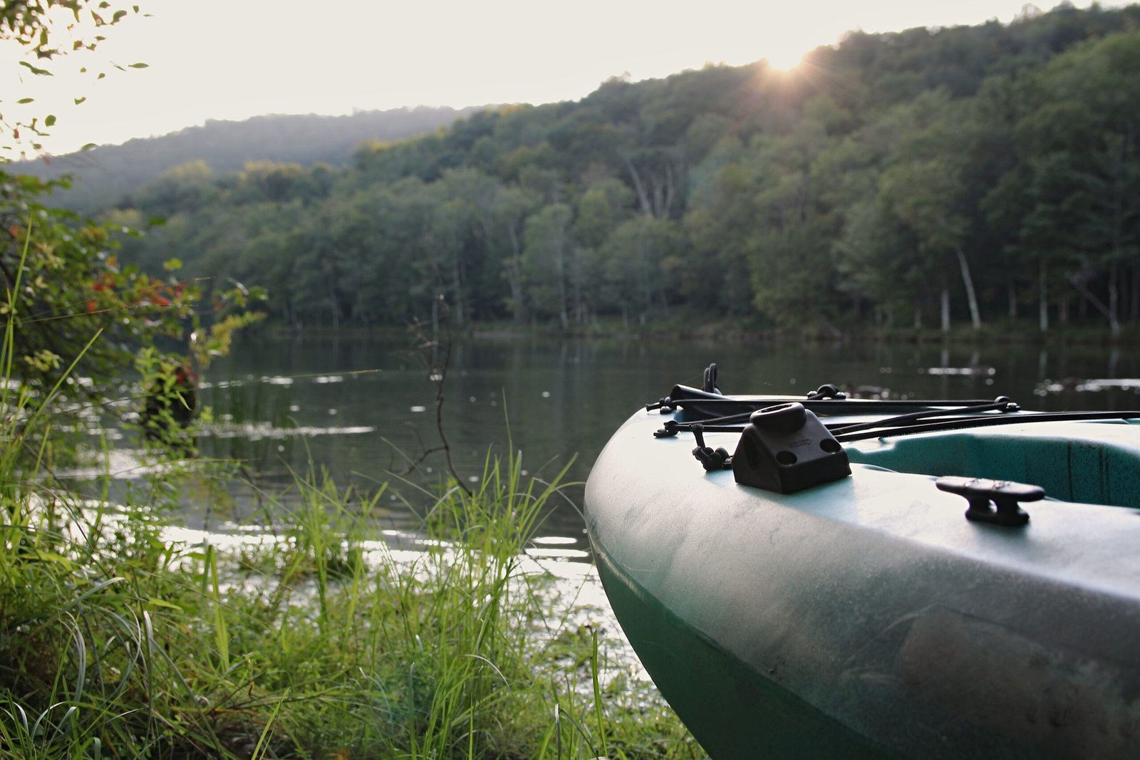 Try fishing or kayaking at Lake Marion Creek Wildlife Management Area.