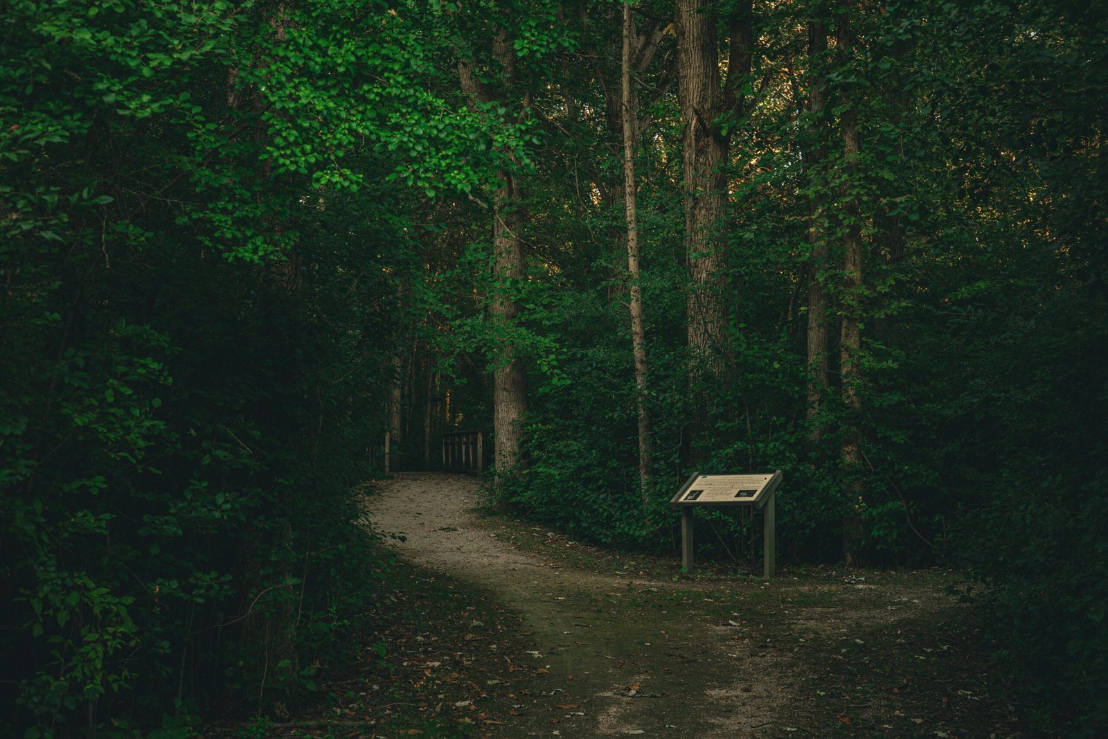 Explore the scenic trails at the Warwick Town Park.