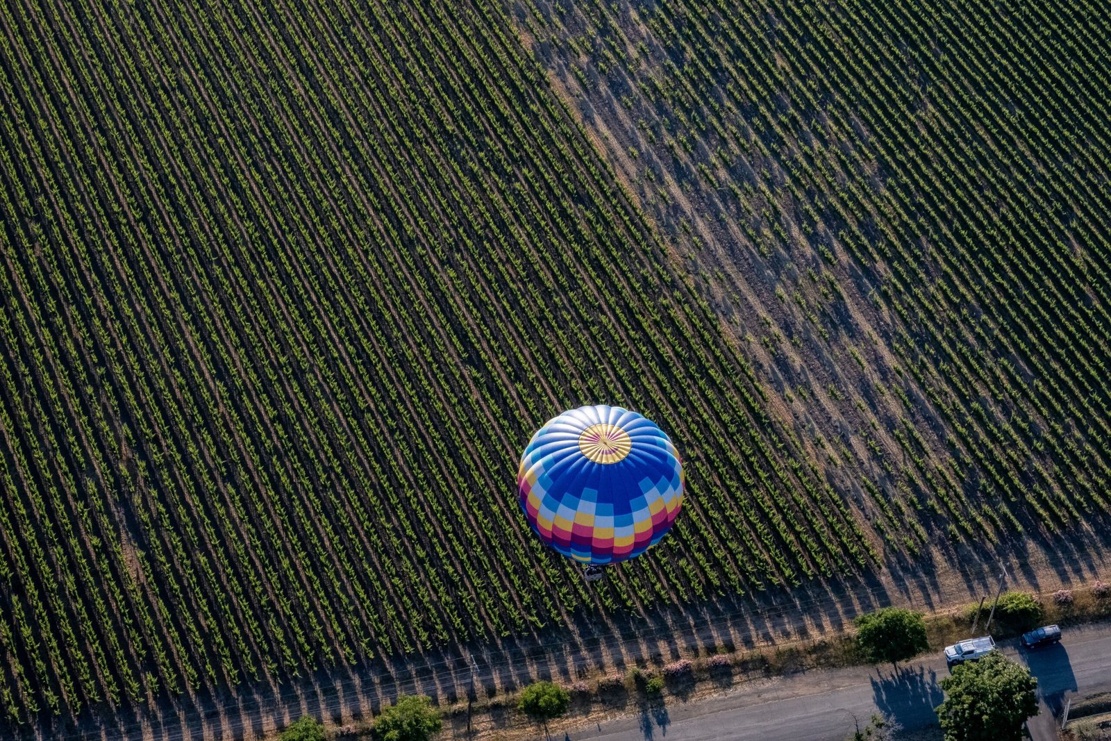 Explore the stunning landscapes of Napa Valley on a hot air balloon ride.