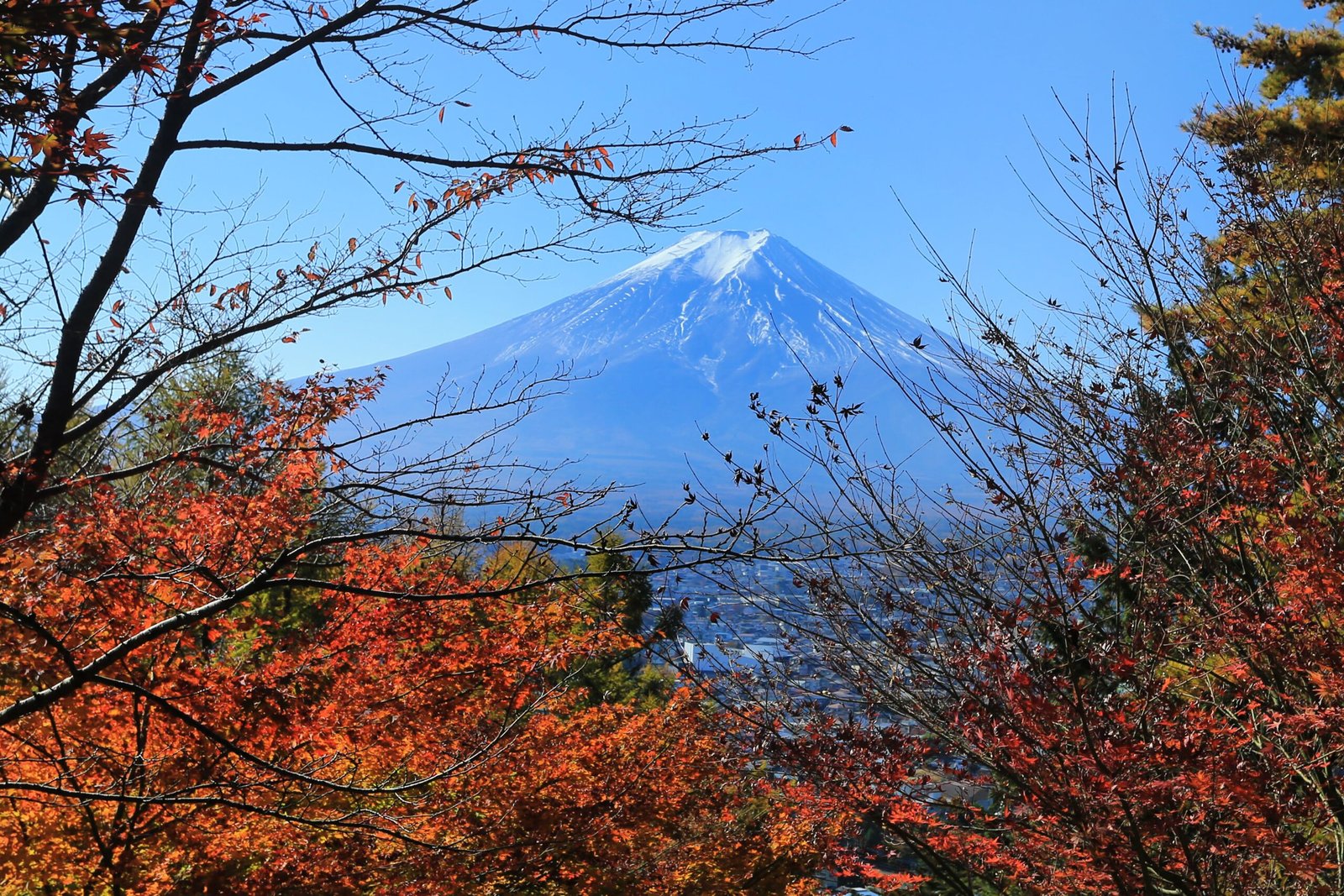 Visit the iconic Mount Fuji and enjoy a day of hiking or photography.