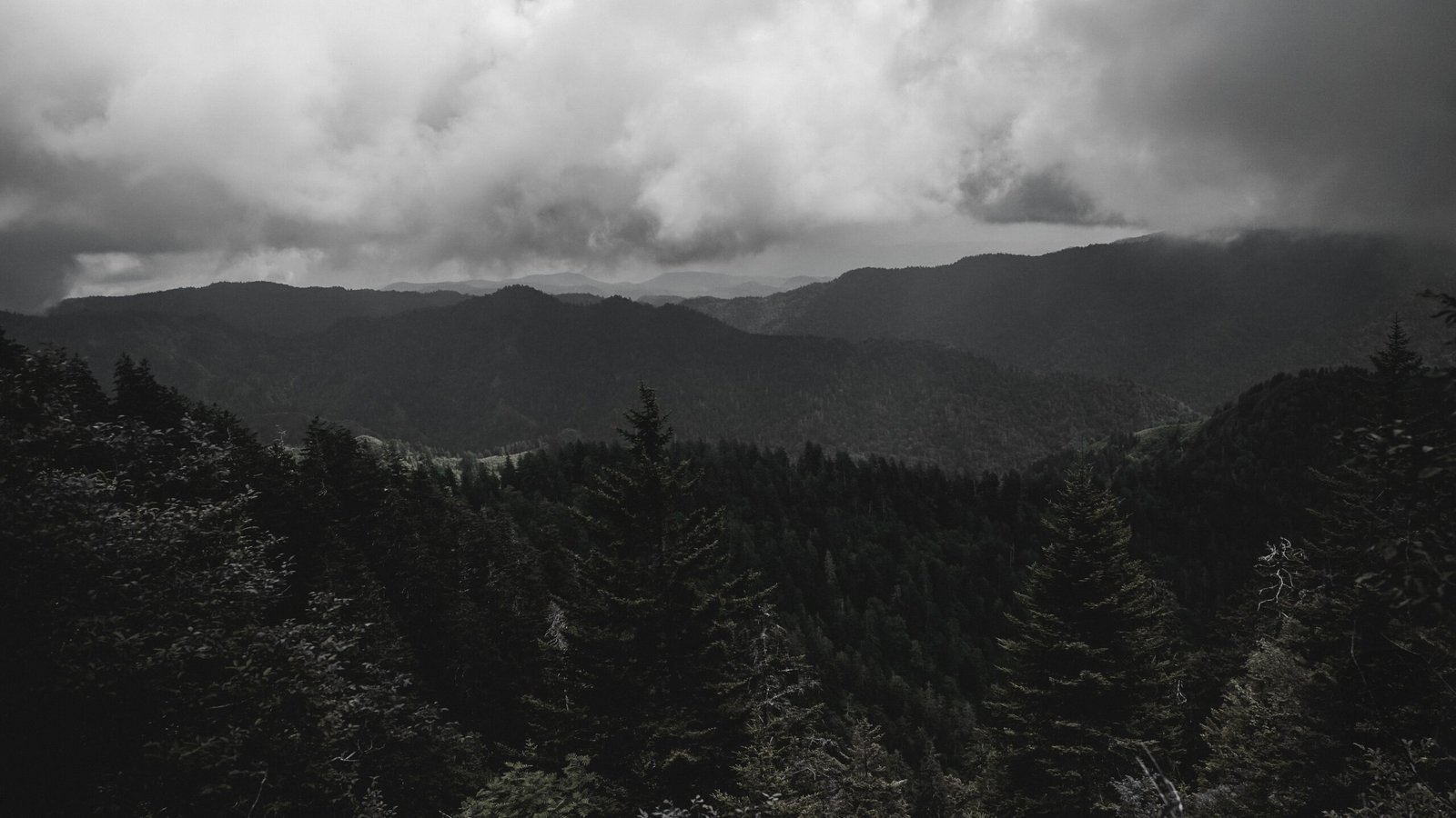 Explore the Great Smoky Mountains National Park for hiking trails and breathtaking vistas.