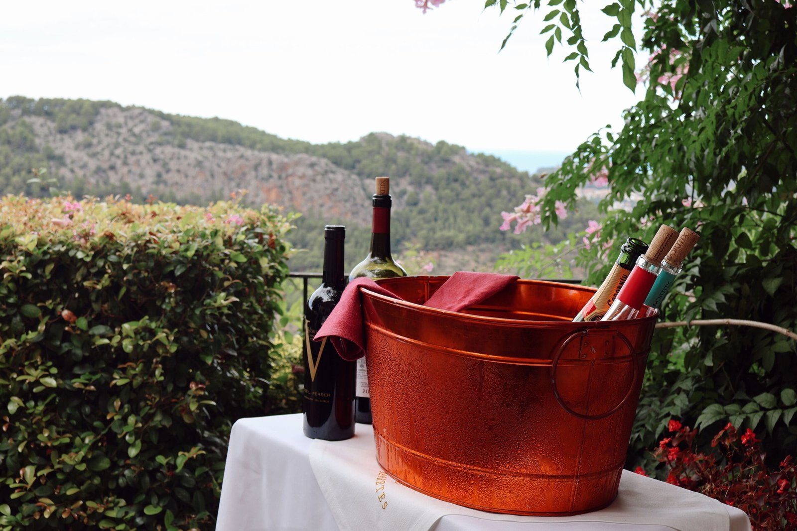 Explore the Mountain Valley Wine Tours for a unique tasting experience.