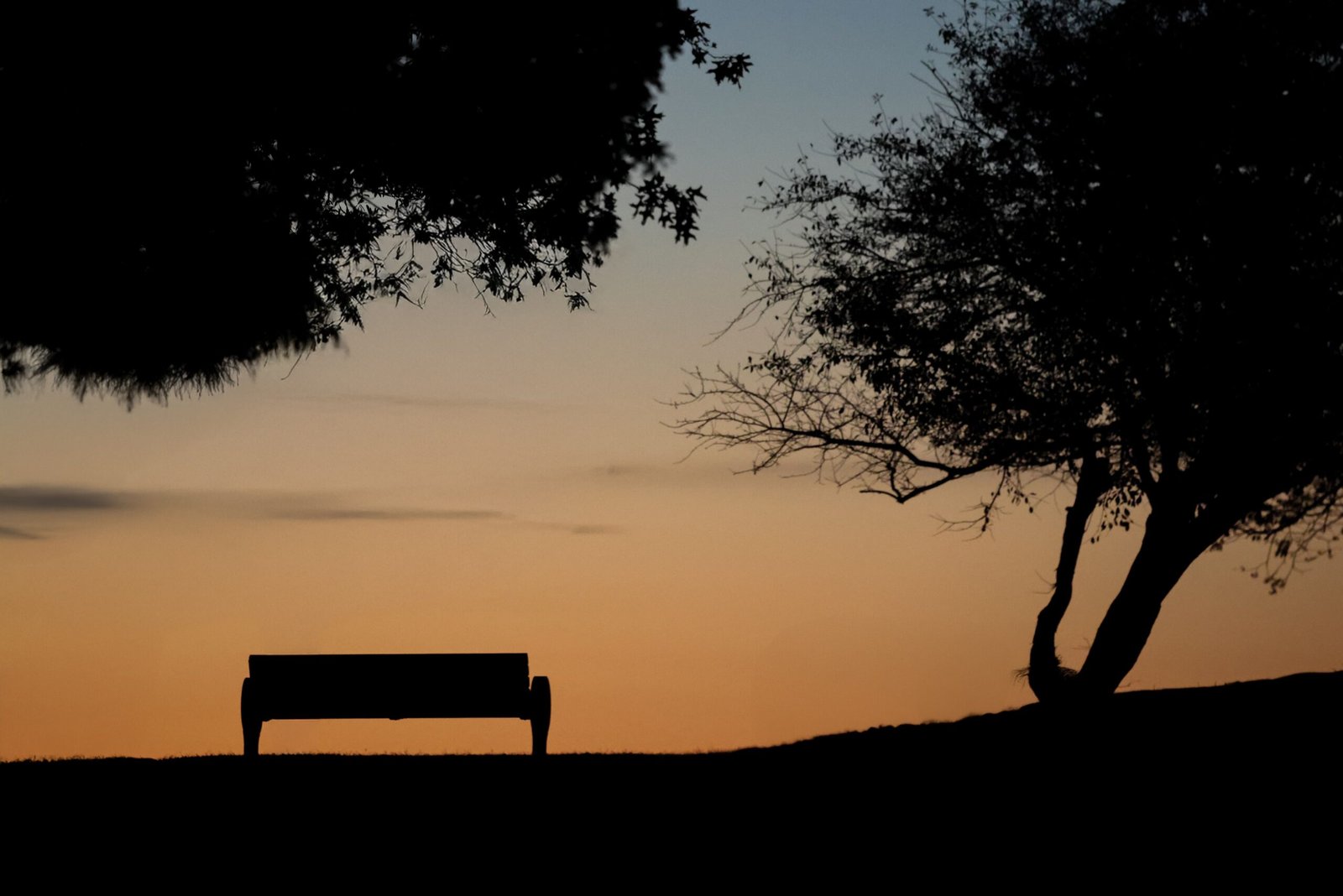 Relax and unwind at the Klamath Falls Veterans Park
