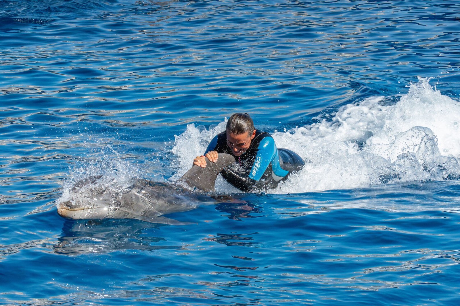 Visit the nearby Gulfarium Marine Adventure Park for animal encounters.