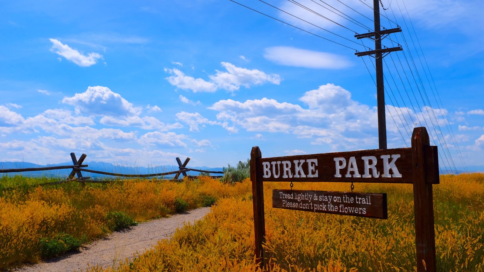 things to do in butte montana