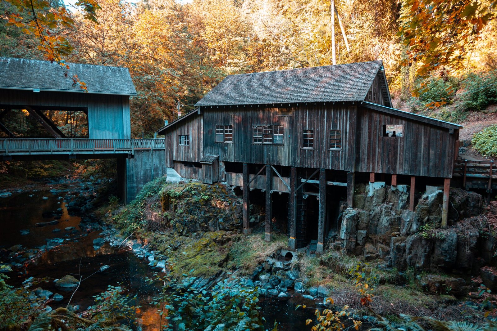 things to do in ashland oregon