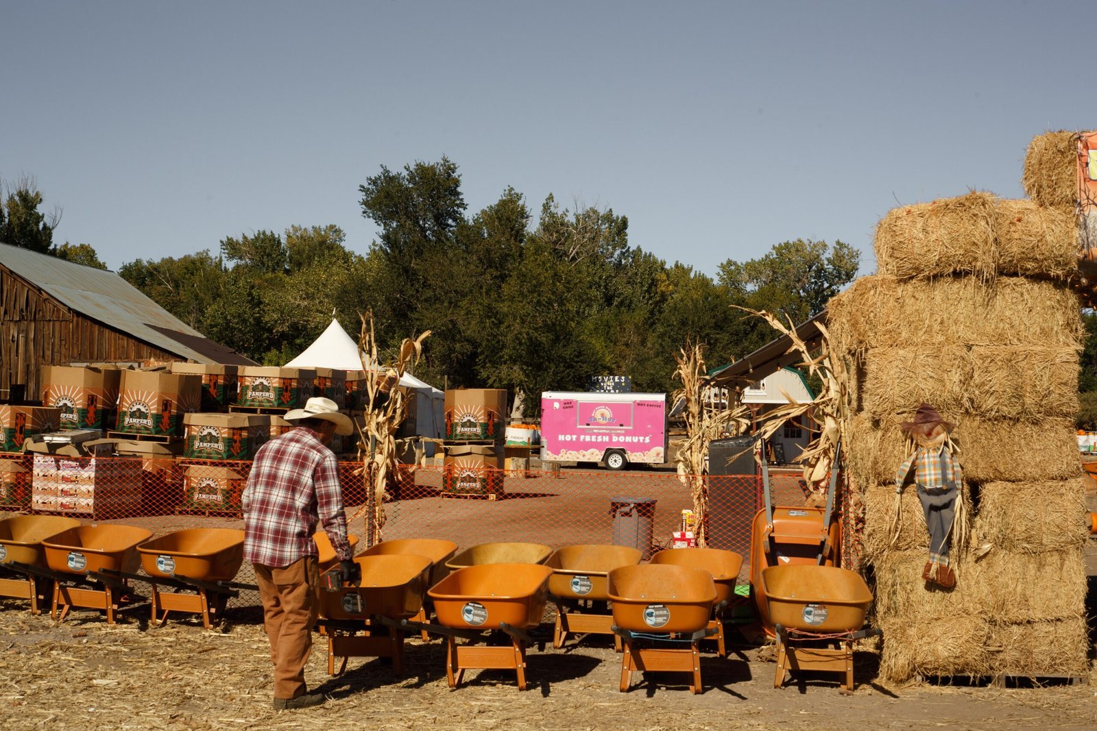 Visit the Roslyn Farms Harvest Fair