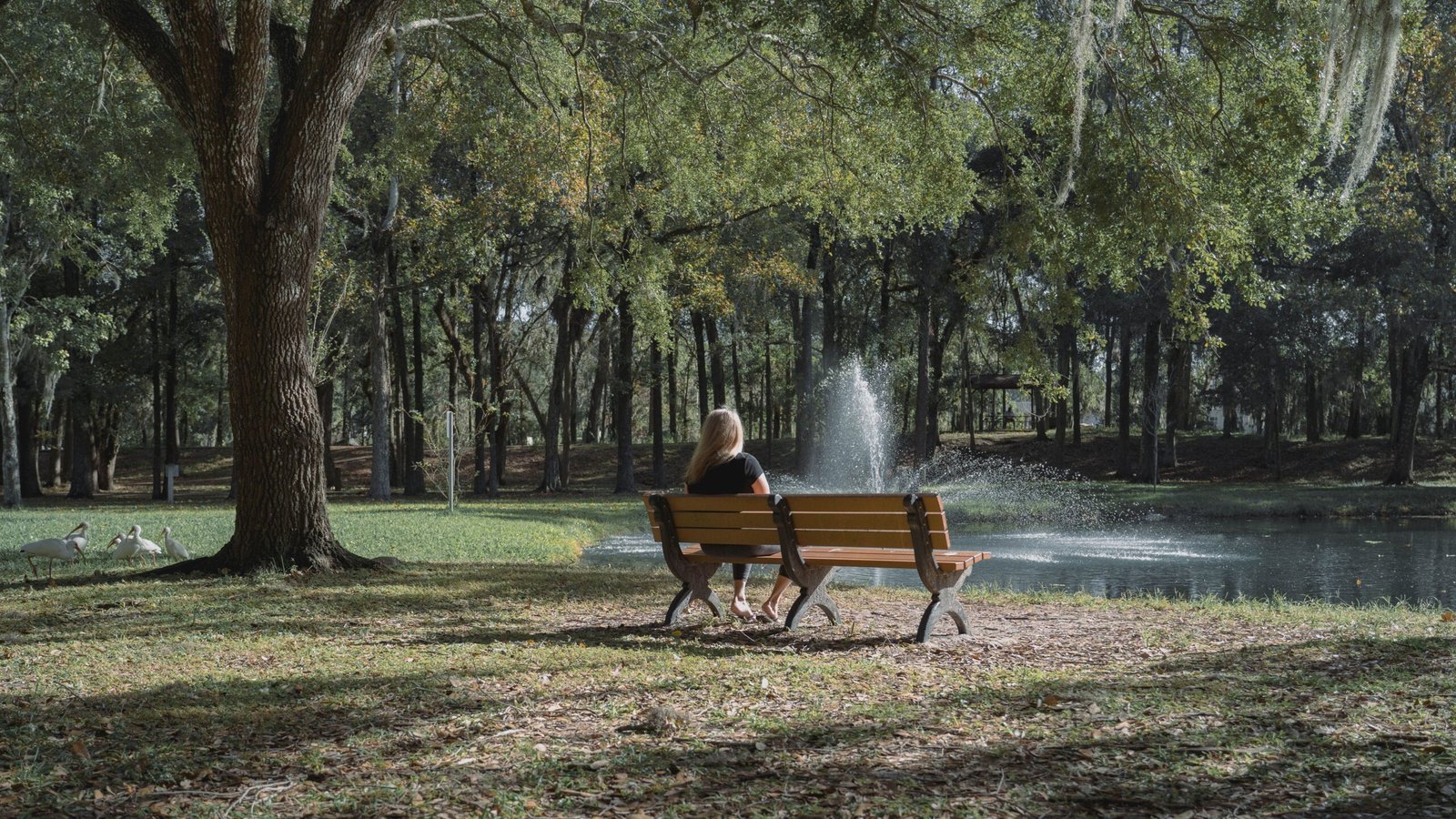 Sure! Here are 25 of the best things to do in Brooksville, FL: