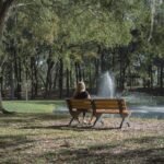 things to do in brooksville fl