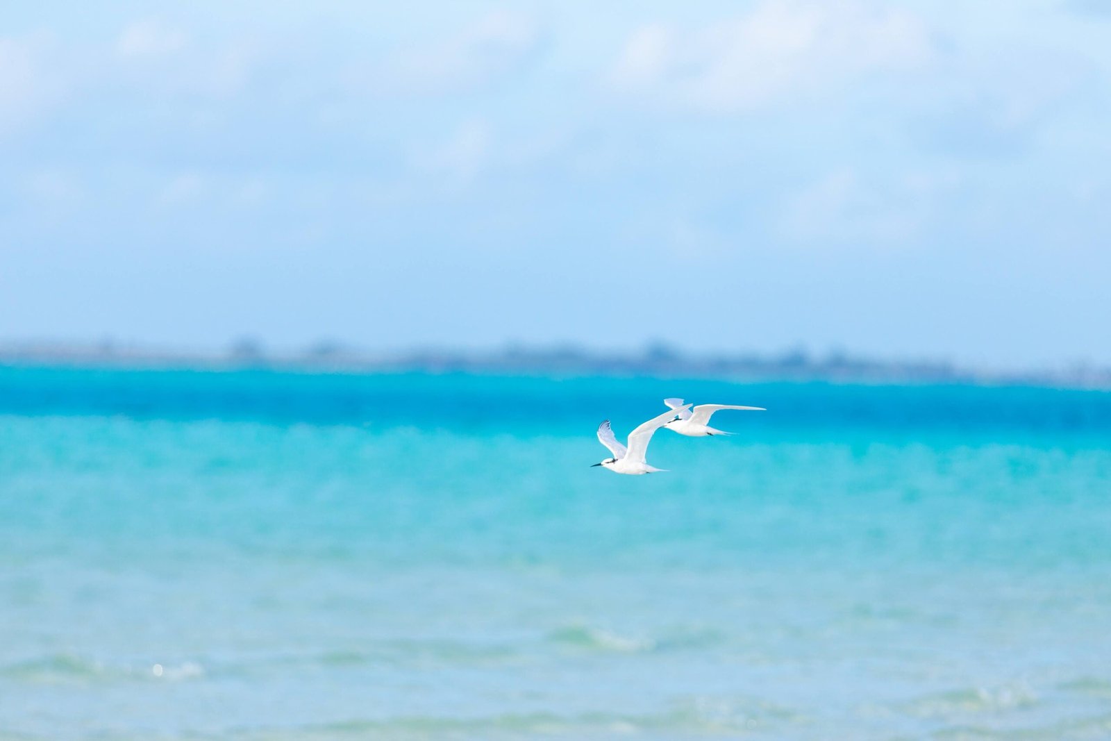 Spend the day at the beach at Smathers Beach, known for its family-friendly atmosphere.