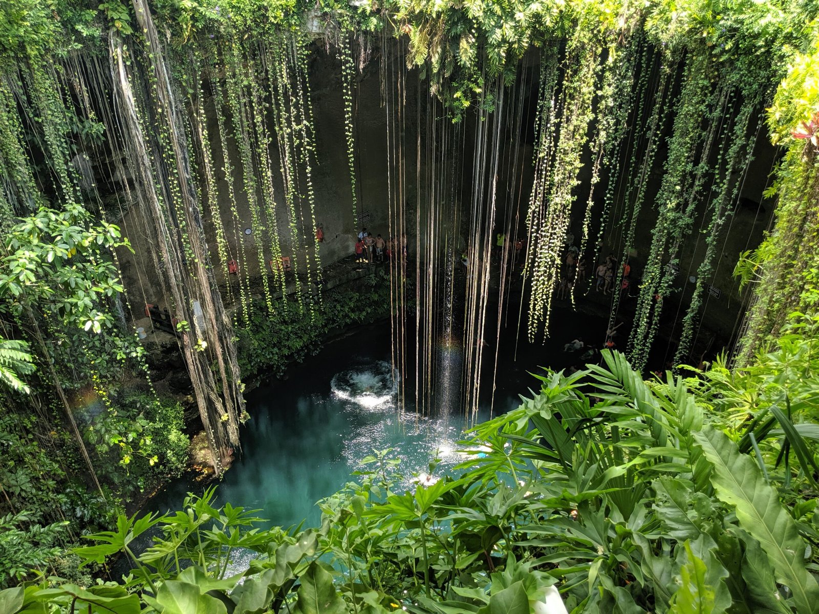 Take a guided tour of the Emerald Pool in the rainforest