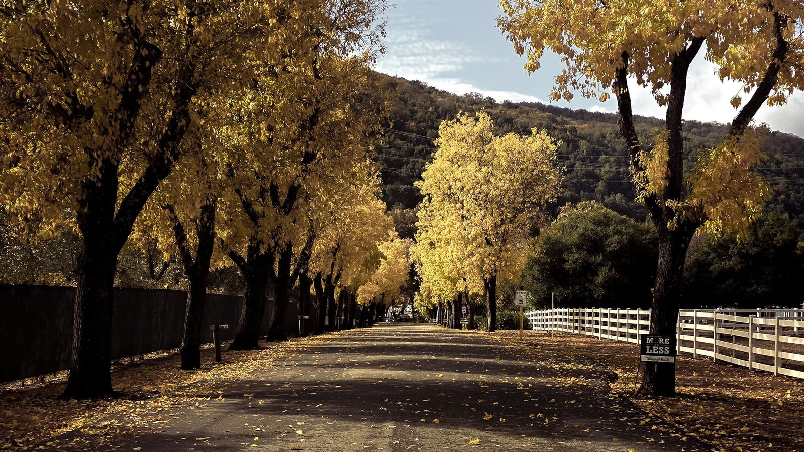 things to do in calistoga