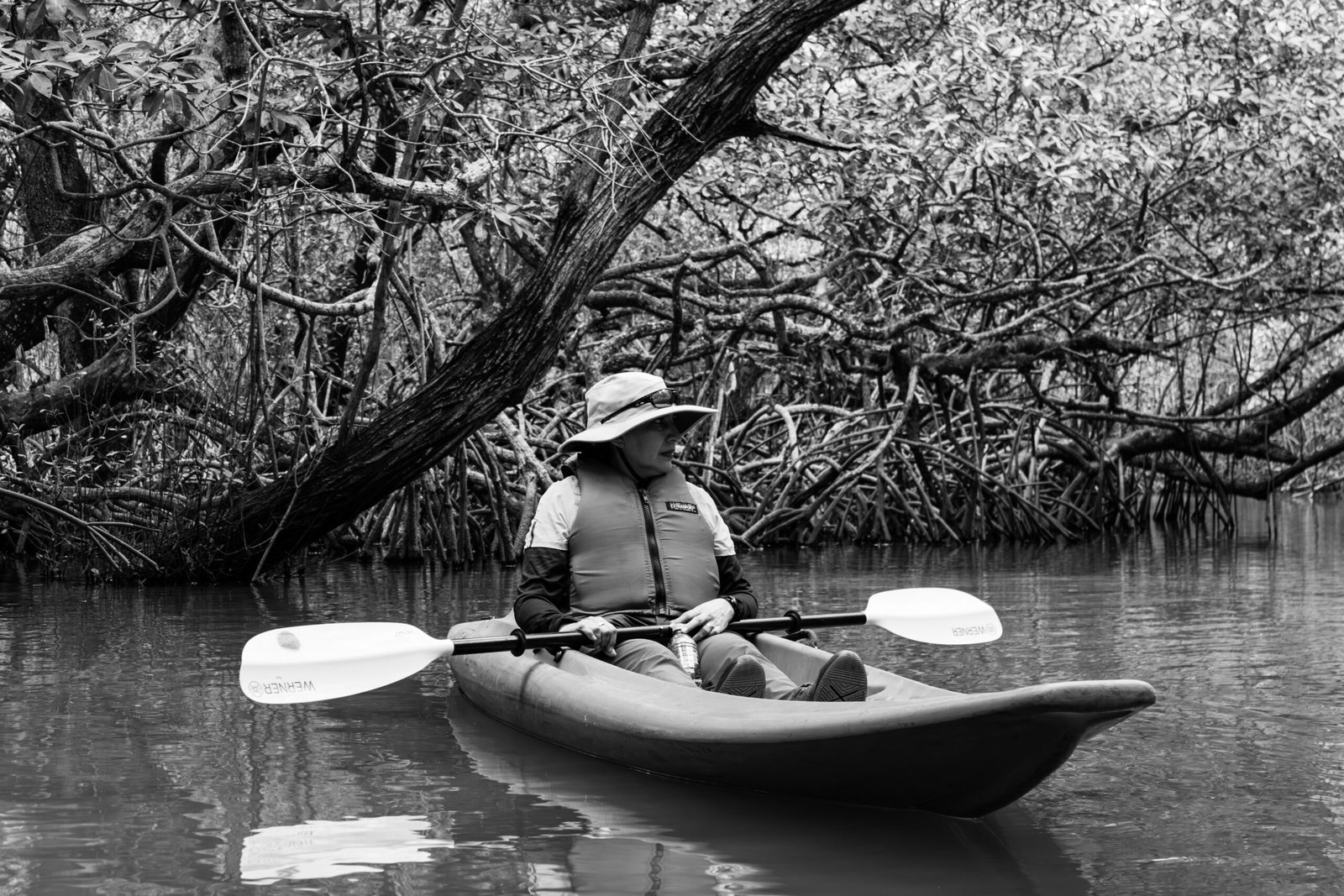 Go kayaking through the mangroves in Big Pine Key