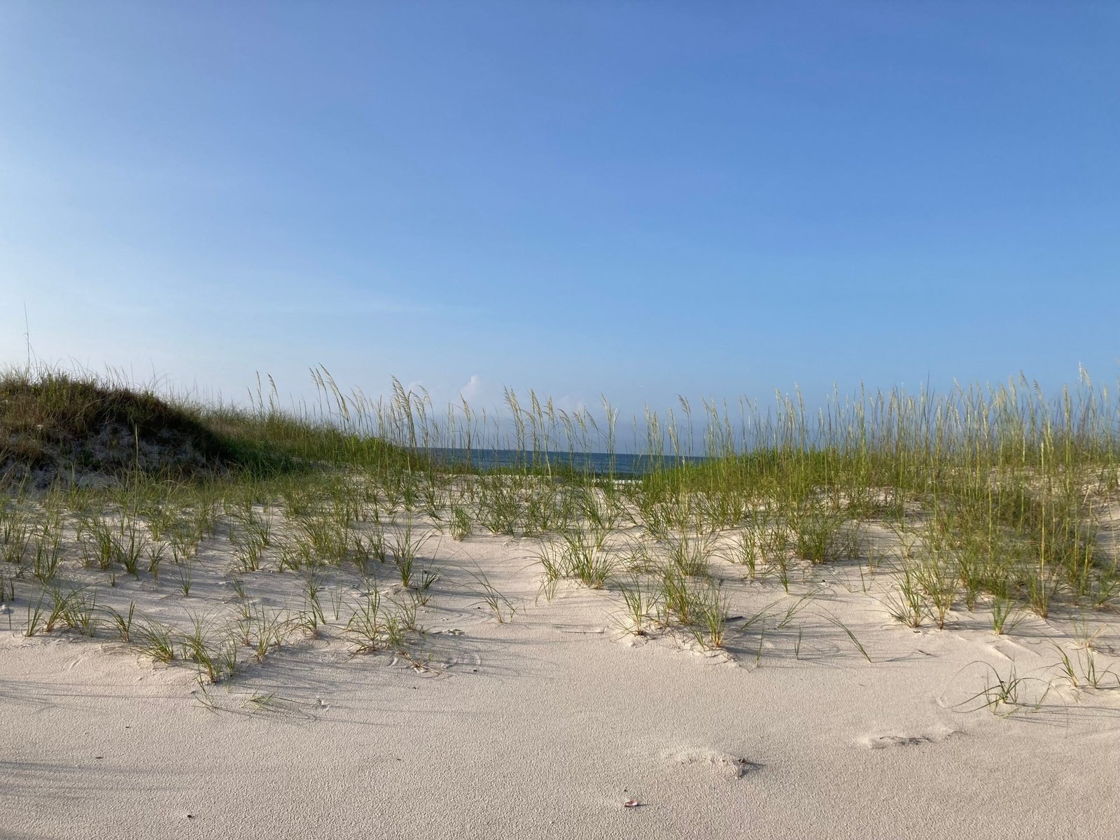 Relax on the pristine shores of Grayton Beach State Park.