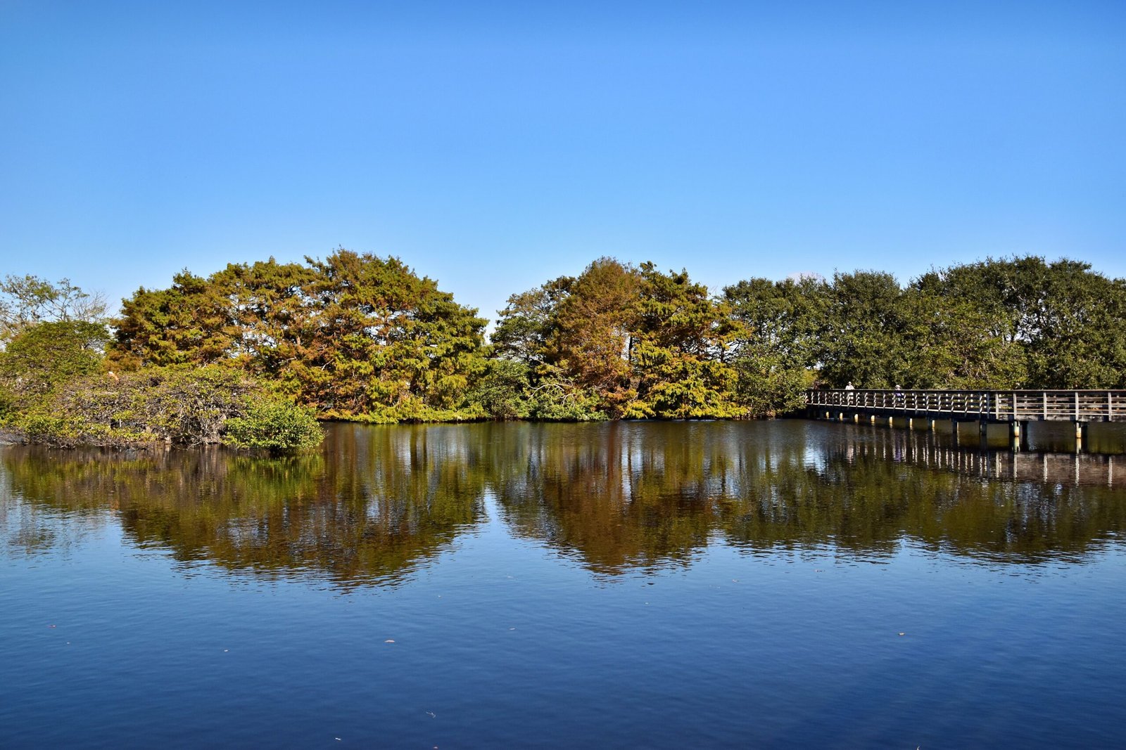 Explore the scenic waterfront at Lake Howard Park