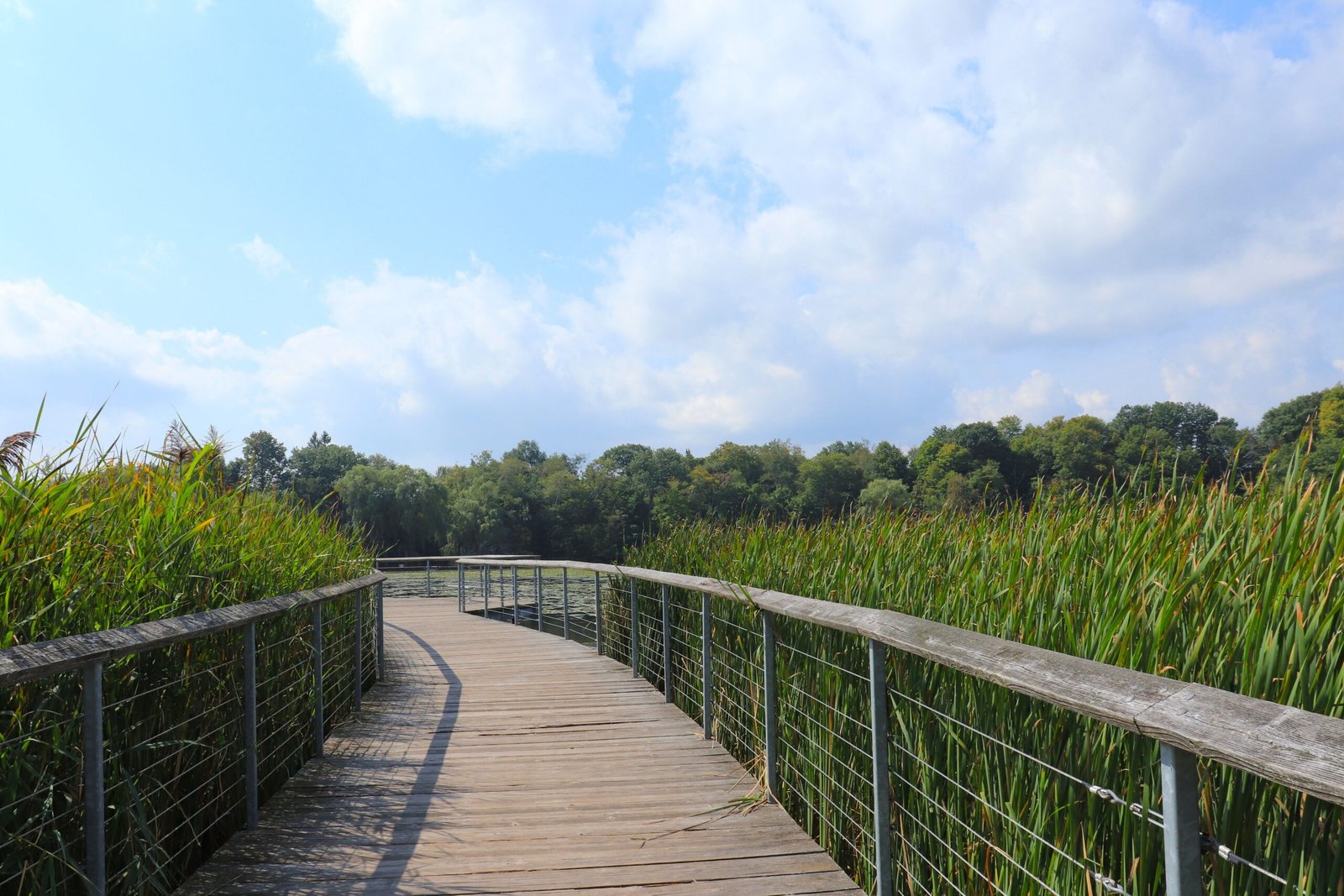 Take a walk around the scenic paths at the Orlando Wetlands Park.