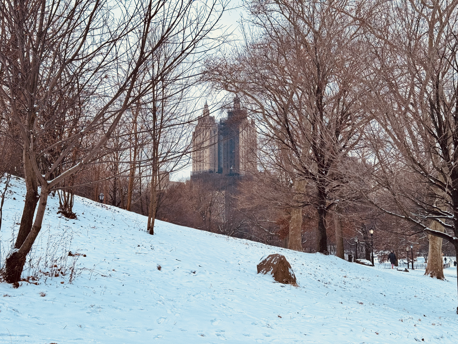 things to do in new york in december
