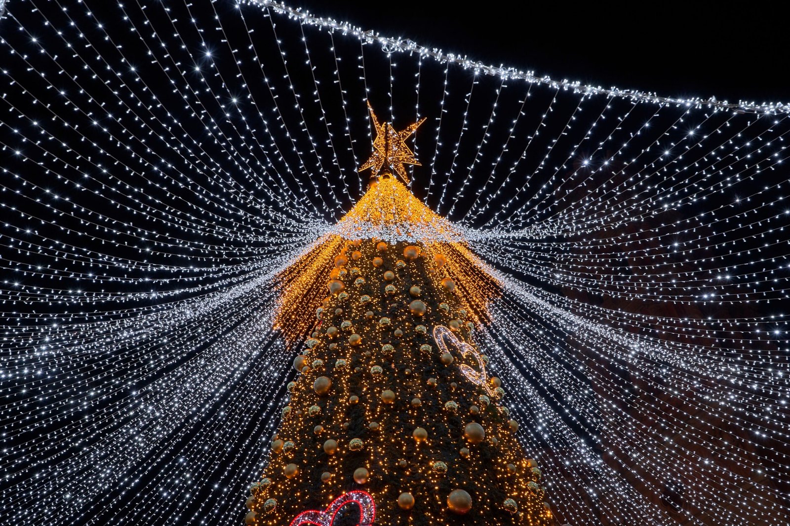 Attend the annual Winterfest for festive lights and decorations throughout the city.