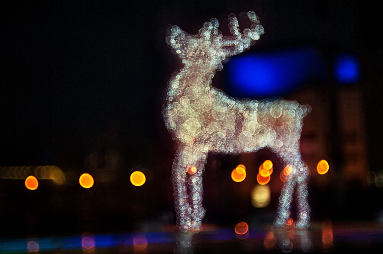 Explore the dazzling holiday lights at the Lincoln Park Zoo's 