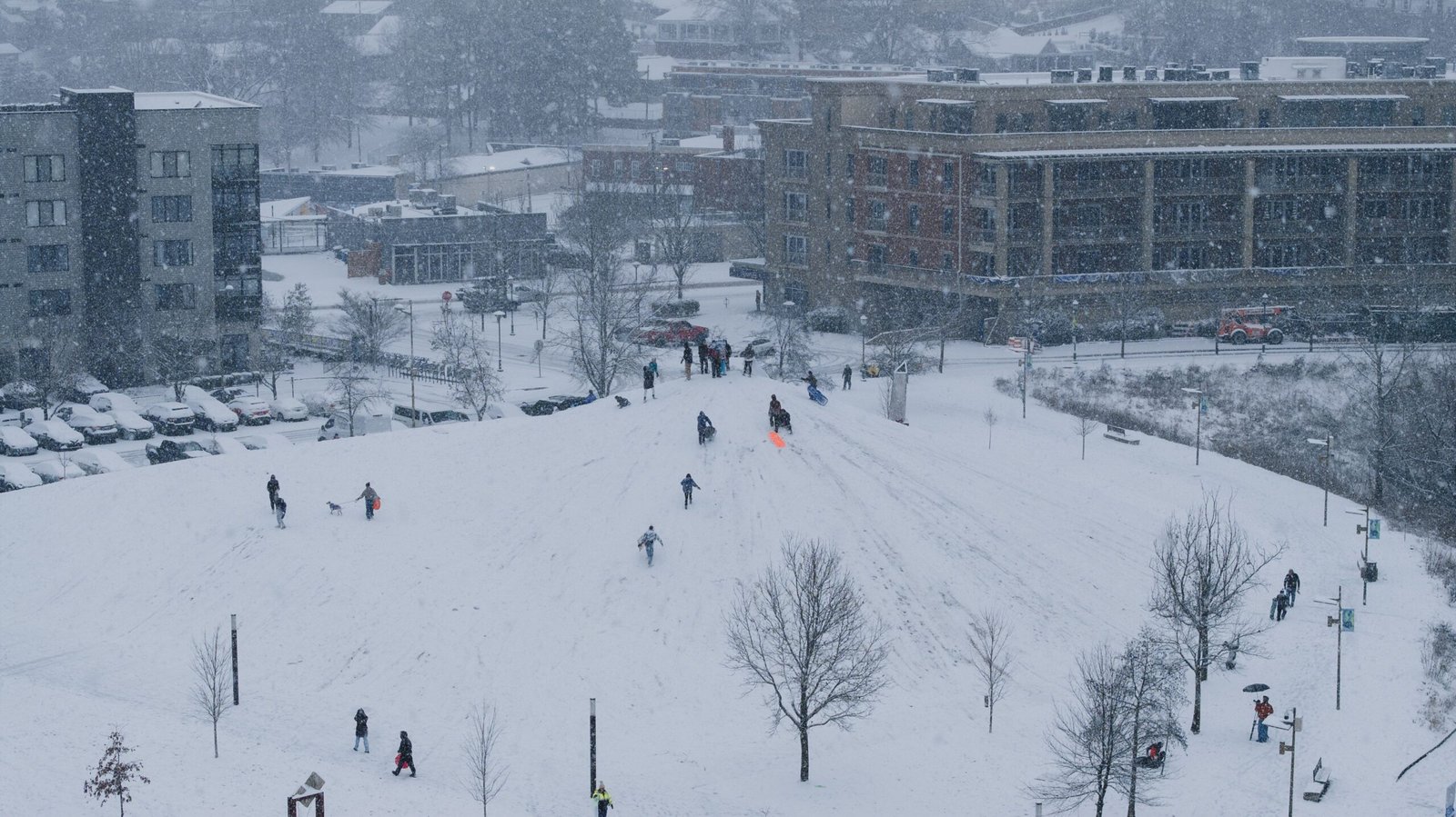 Go sledding at the popular local hill in Greenwood Park
