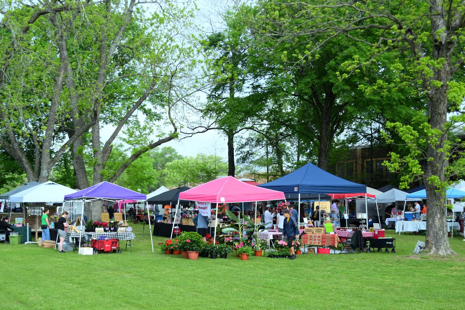 Explore the Nashville Farmers' Market for local produce and crafts.