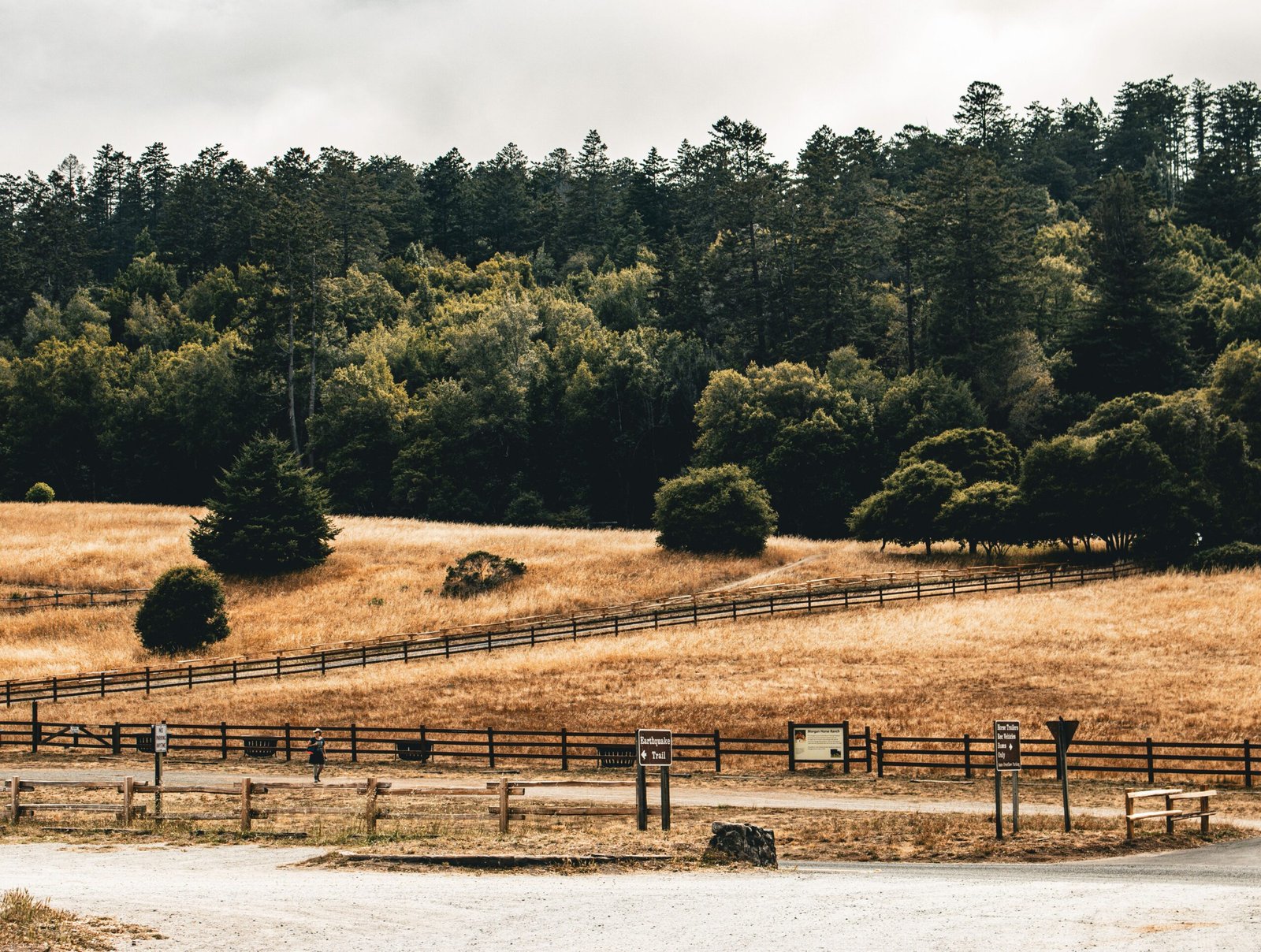 Spend a day at Whiskeytown National Recreation Area.