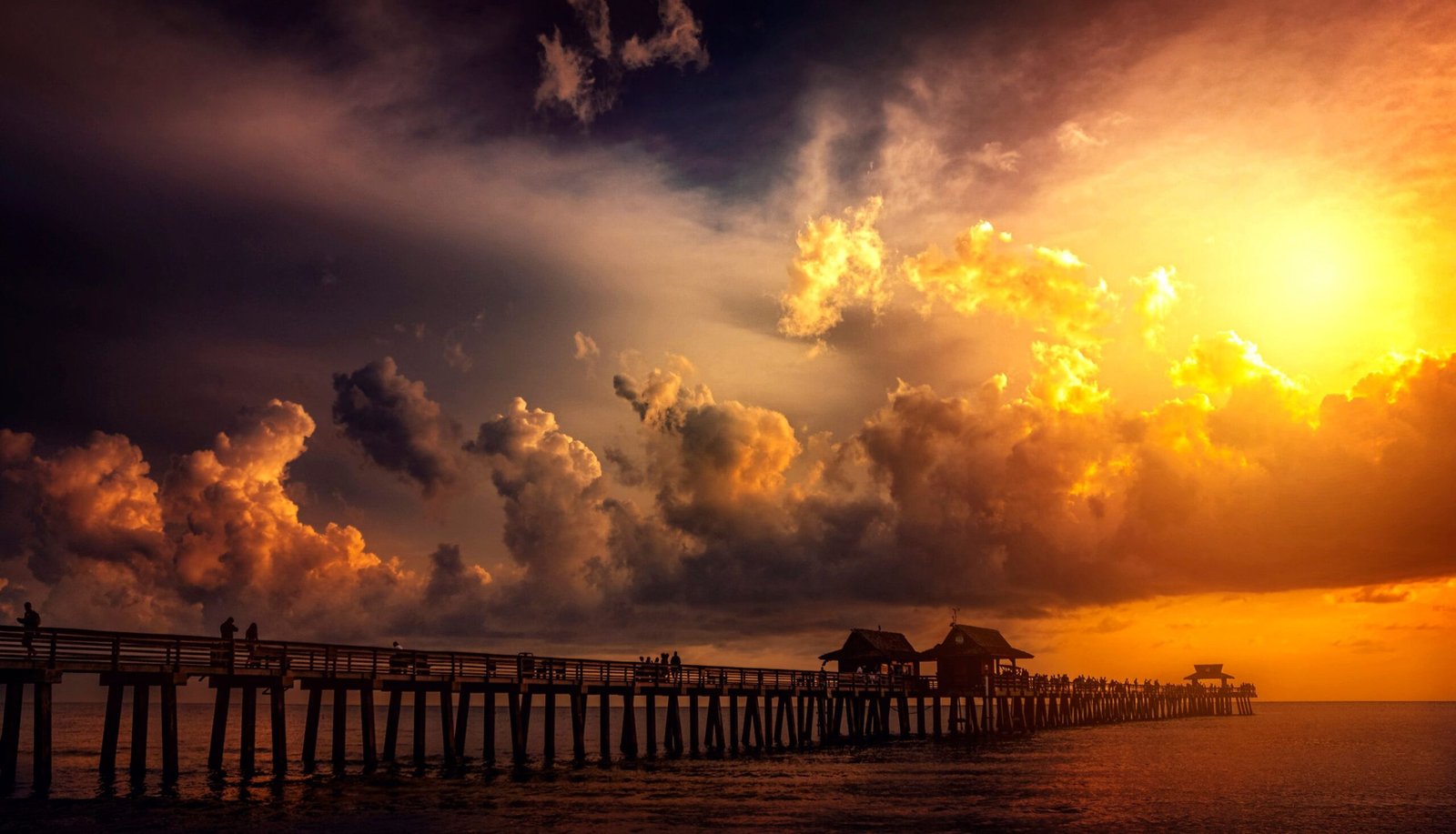 things to do in naples fl