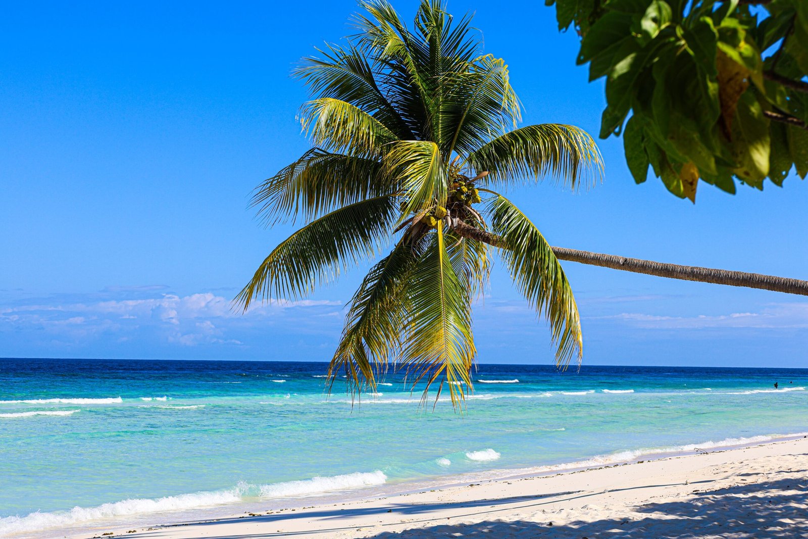 Visit the stunning Seven Mile Beach for sunbathing and water sports