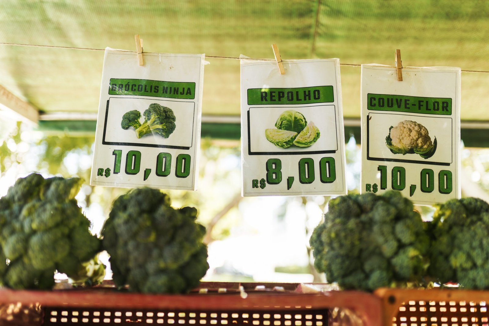 Visit the Sonora Farmers Market for fresh local produce and crafts.