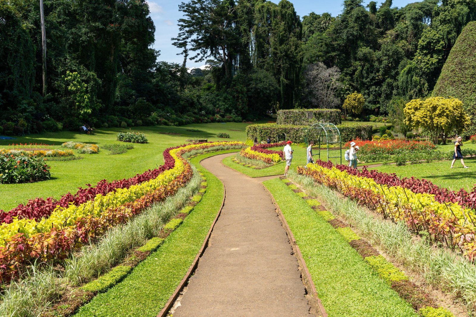 Take a guided tour of the lush landscapes in Te Fa’aitanui Botanical Garden.