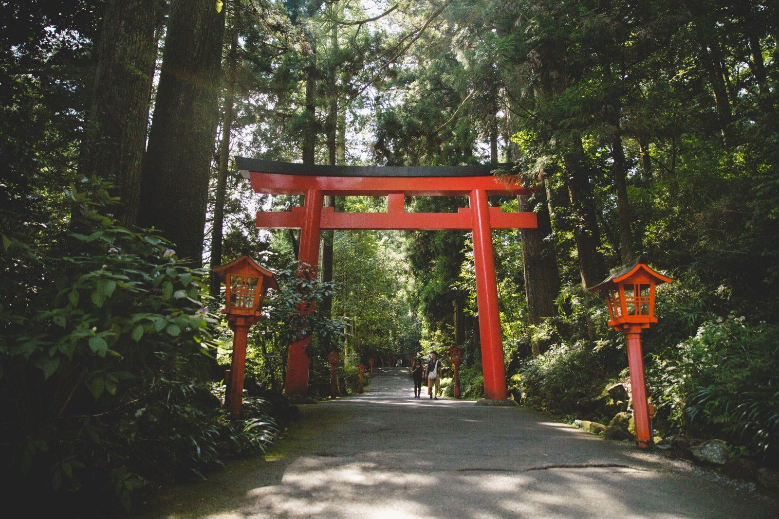 Stroll through the picturesque Hakone Gora Park, known for its beautiful gardens