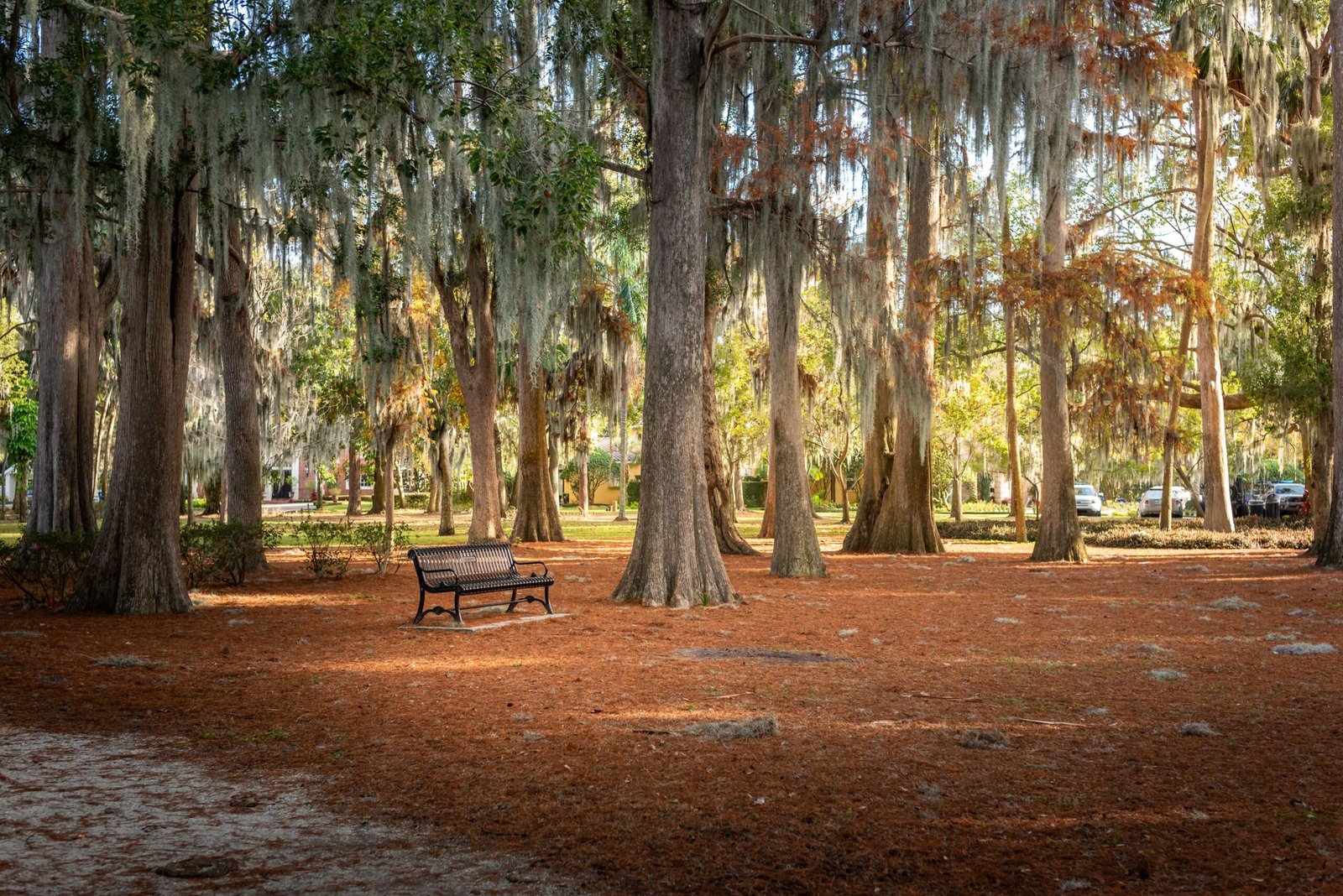 Enjoy a day of relaxation at Cypress Gardens Adventure Park