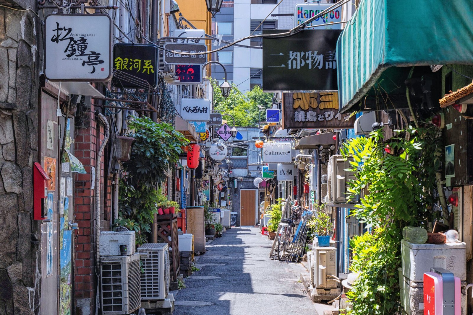 Sure! Here’s a list of 25 best things to do in Little Tokyo: