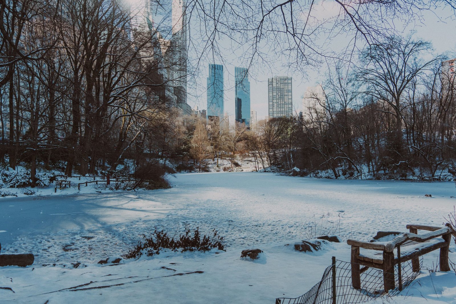 Stroll through Central Park to witness winter’s beauty and perhaps spot a snowy scene.