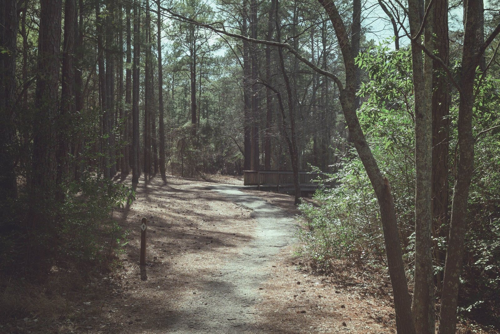 Explore the beautiful landscape at Julian Price Memorial Park
