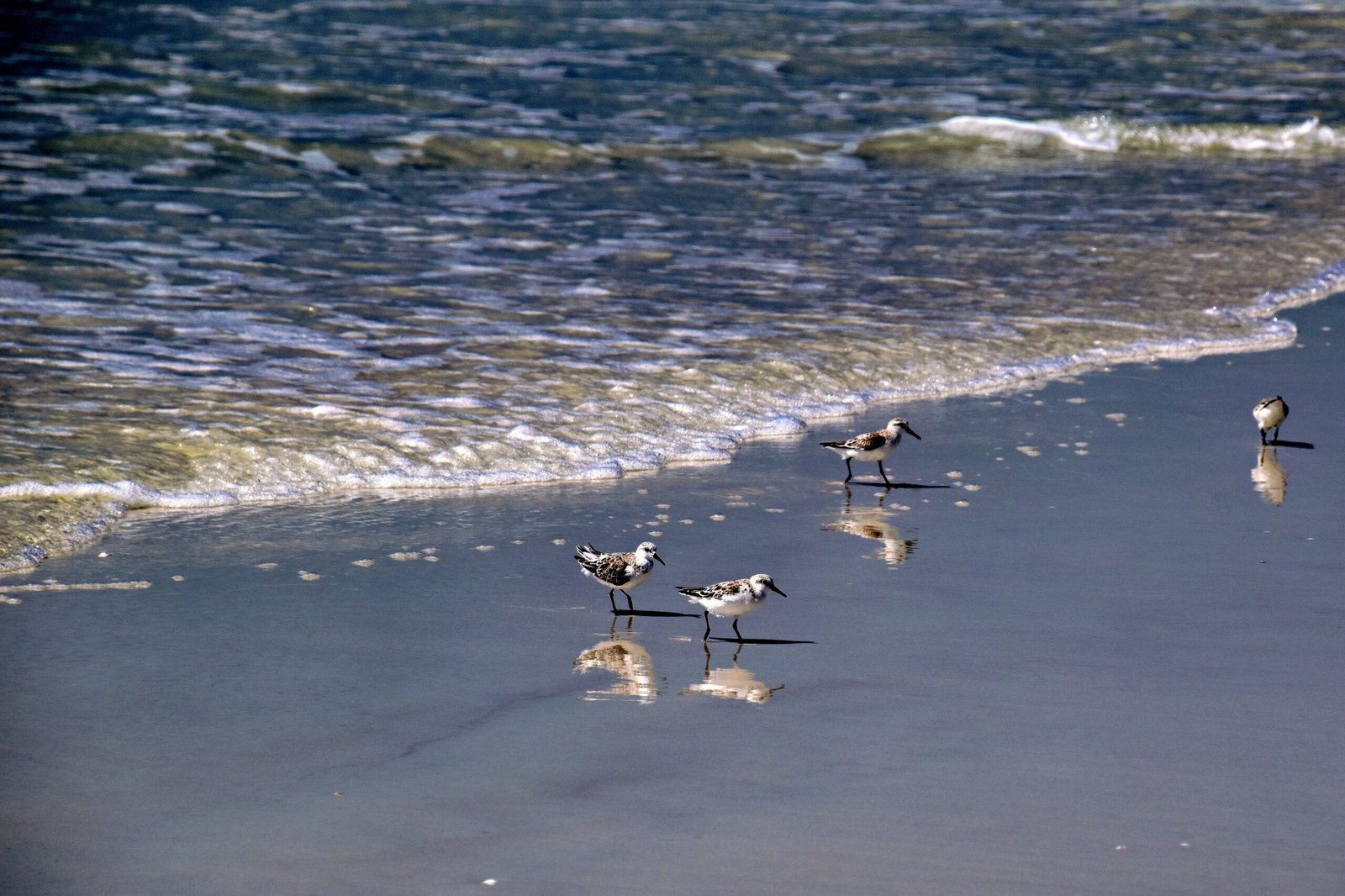 Relax on the sandy shores of St. Joseph Peninsula State Park.