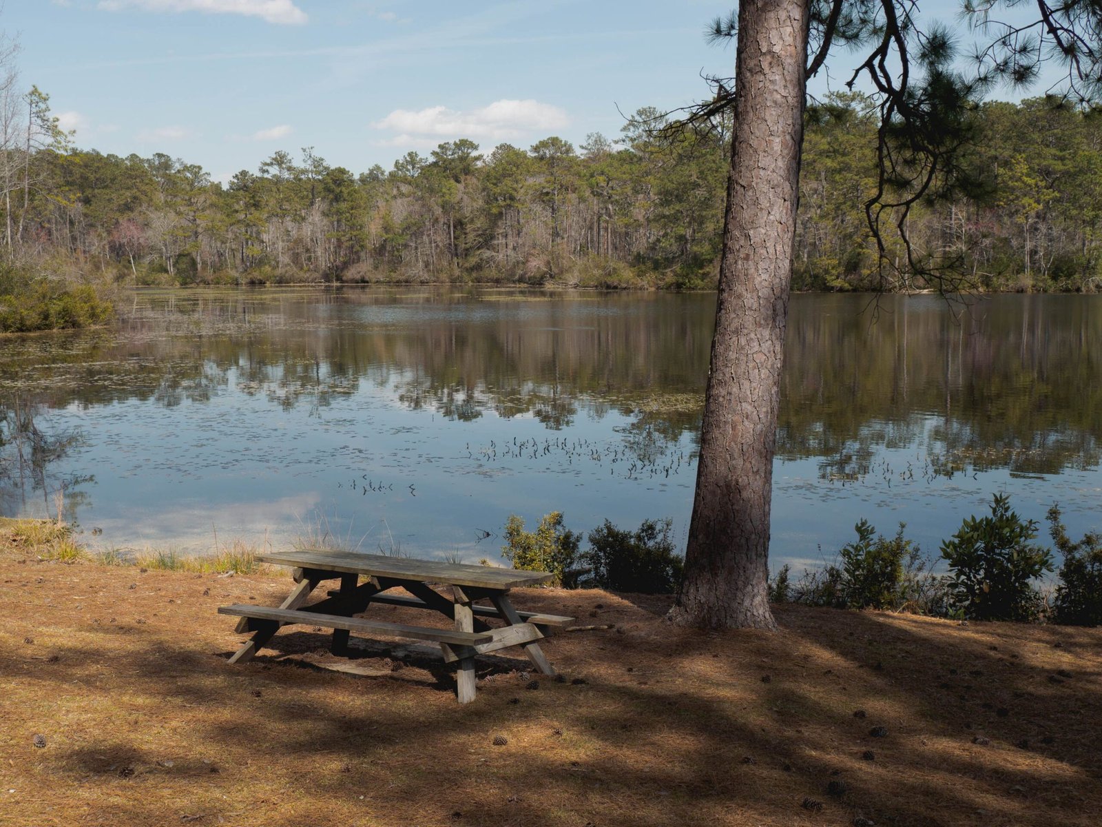 Unwind at the Conroe Central Park, complete with picnic areas