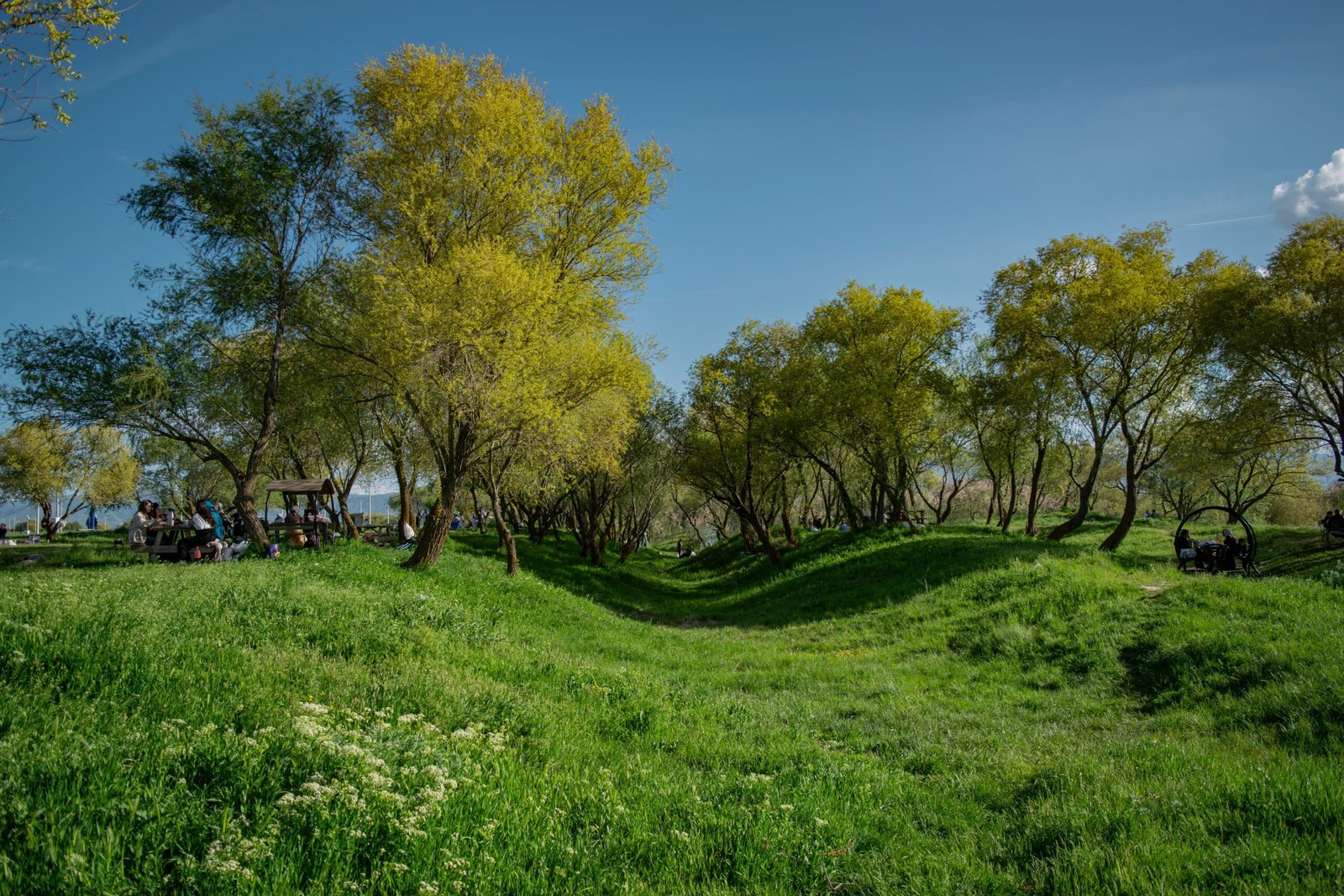 Explore the scenic Riverside Park for walking and picnicking