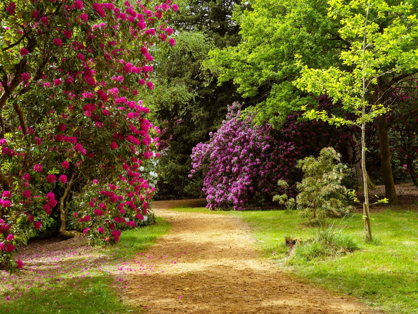 Discover the magical flora at the Joplin Botanical Gardens.
