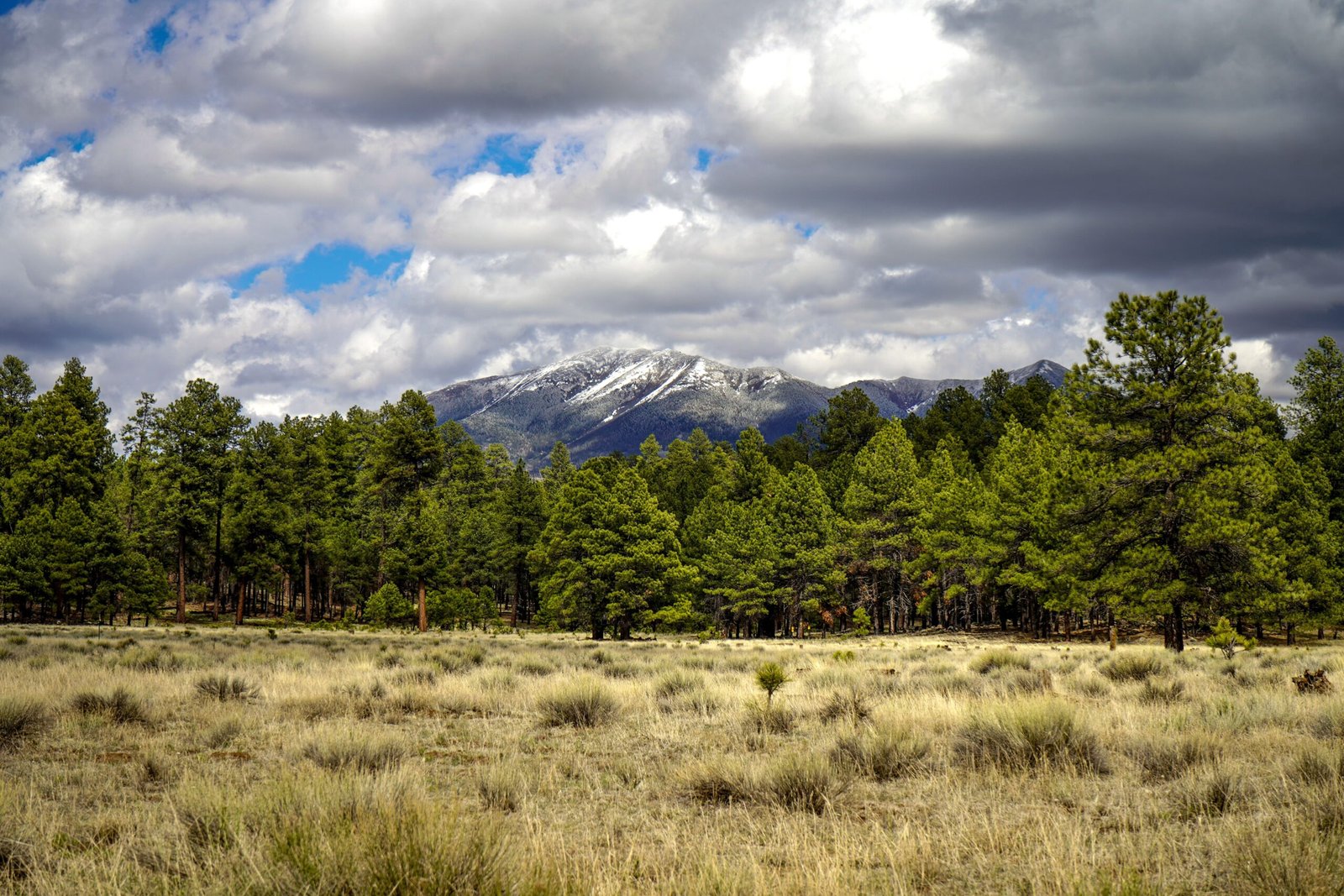 Visit Ponderosa State Park for hiking and wildlife watching.