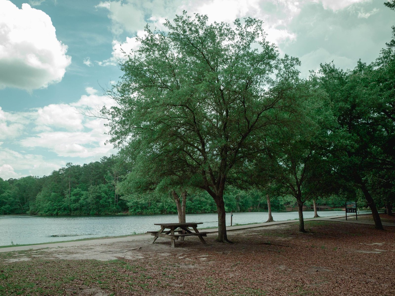 Visit the scenic Lake Holly to relax and picnic