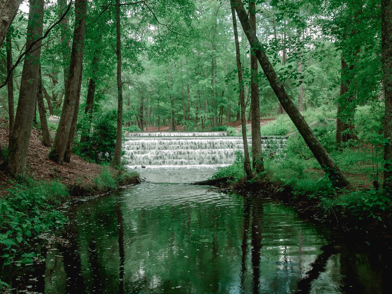 Experience the natural beauty of Pretty Creek State Park.