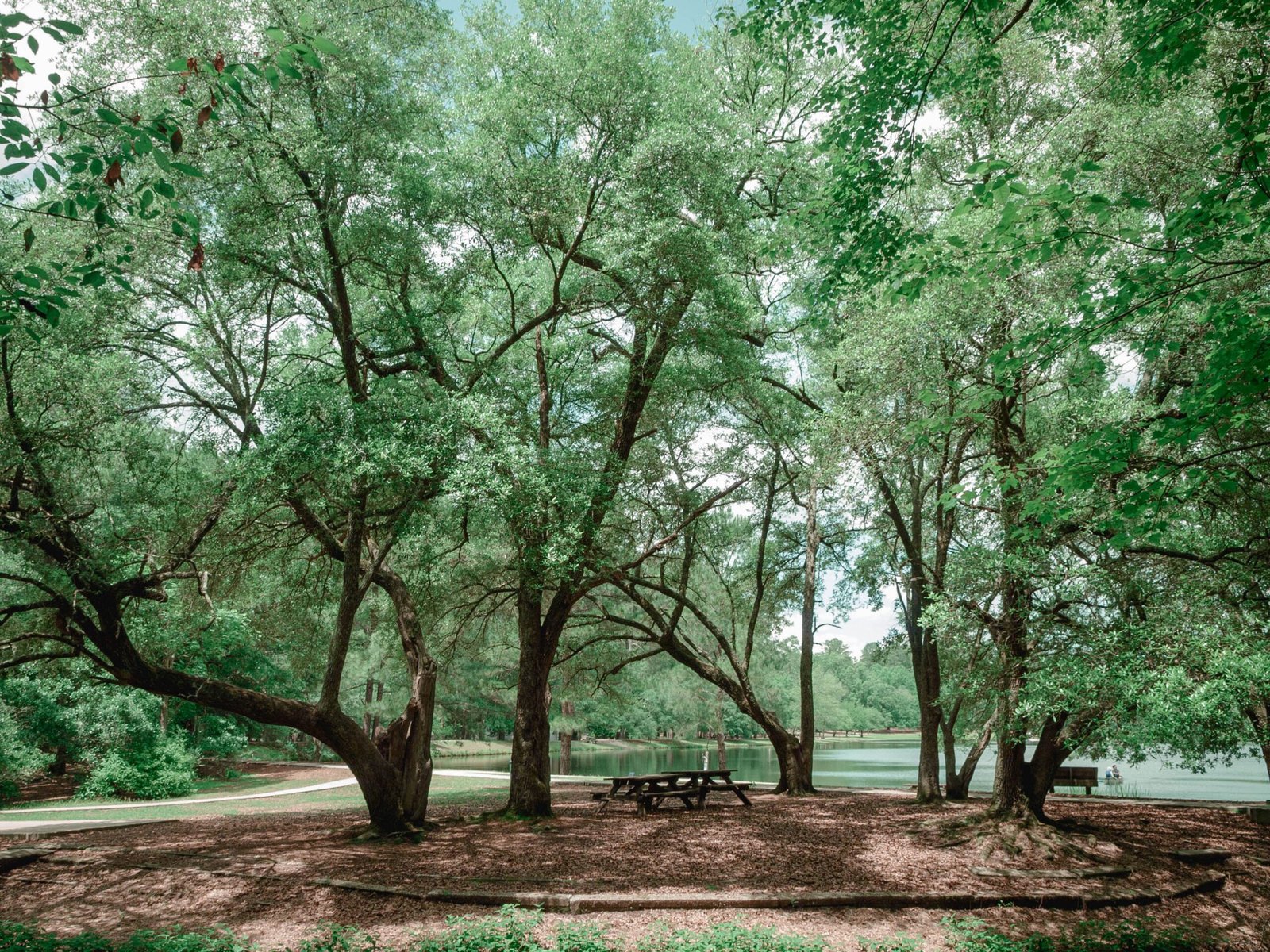Relax at the serene Byram Park, complete with water access and picnic areas